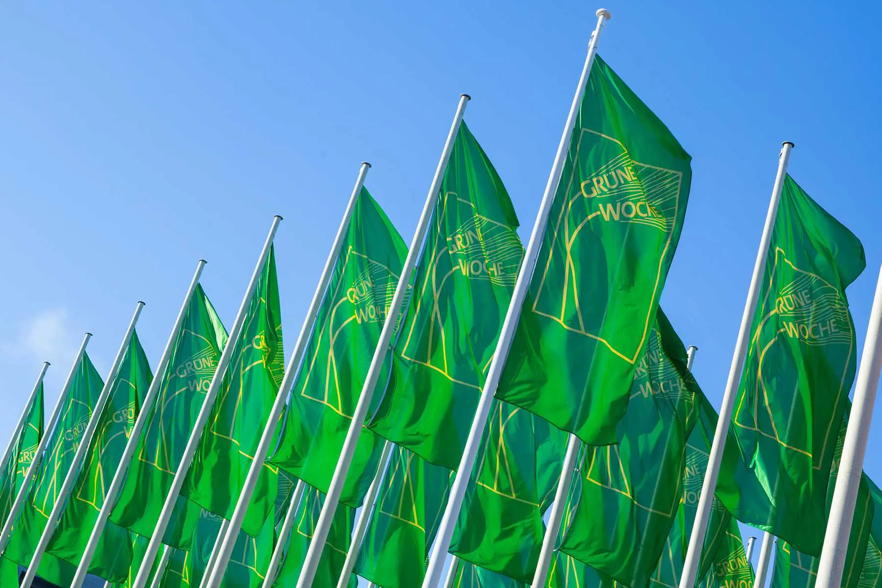 Internationale Grüne Woche Flaggen