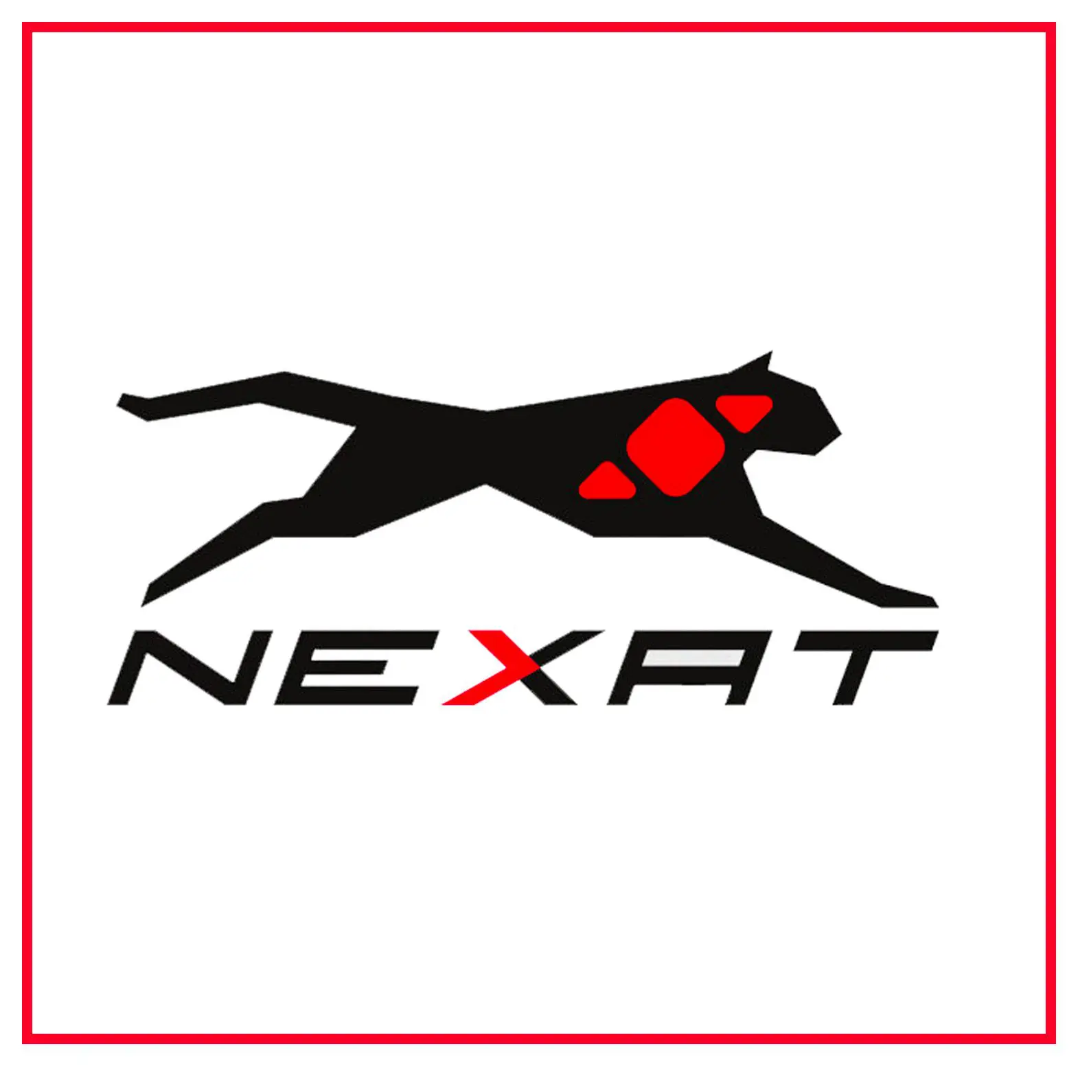 Logo Nexat