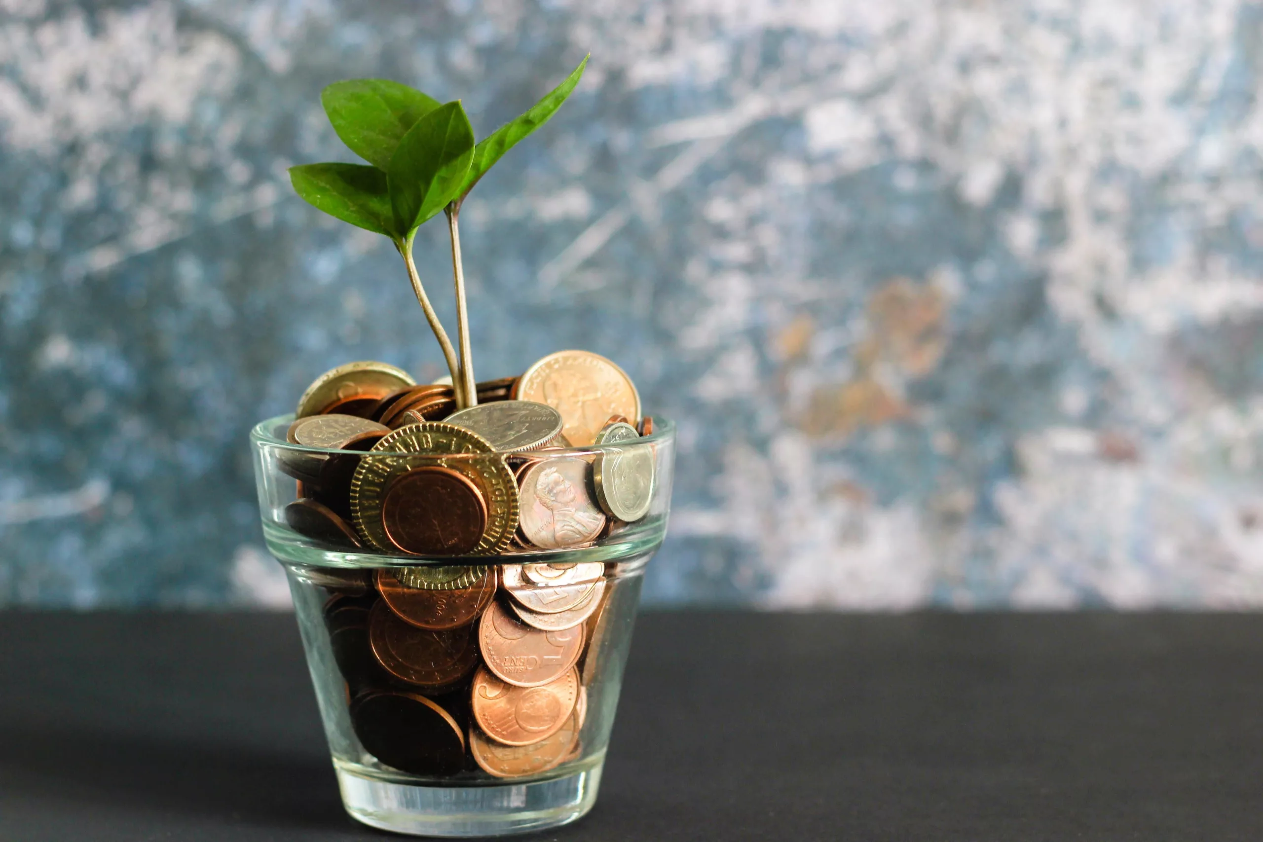 Das Bild zeigt ein Glas gefüllt mit Geldmünzen aus dem eine kleine Pflanze wächst.